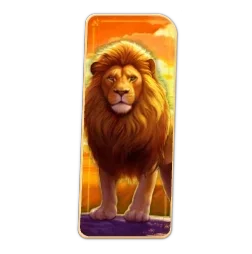 Icon Lion
Safari